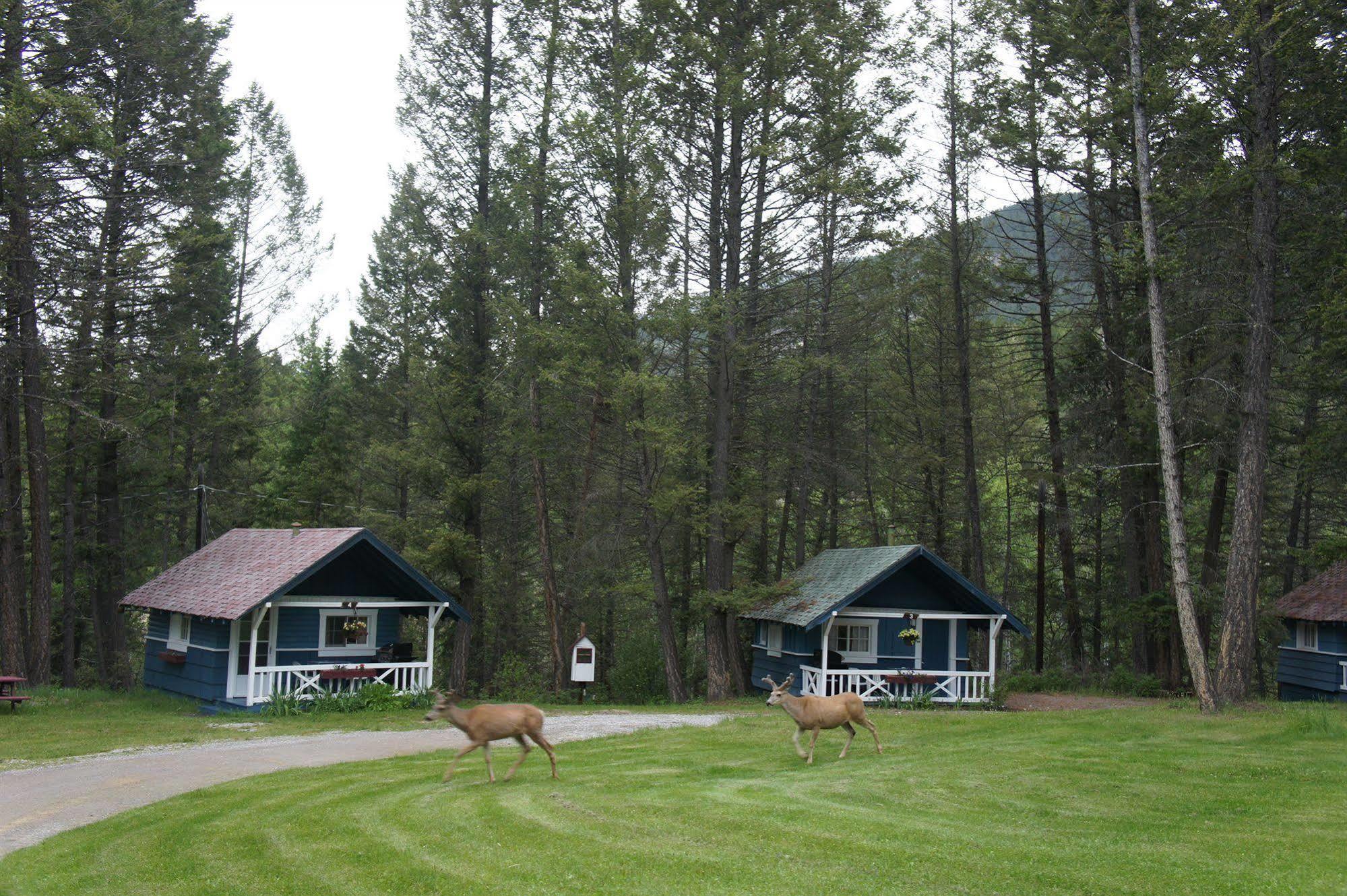 Fairmont Mountain Bungalows Fairmont Hot Springs Exteriör bild